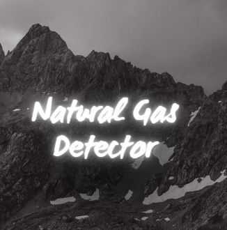 natural gas detector