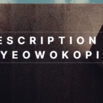 Description of dyeowokopizz